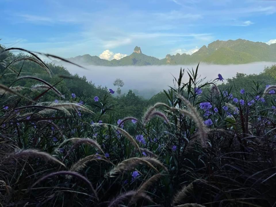 Por Sampao Camp&Resort Ban Pha Saeng Lang Kültér fotó