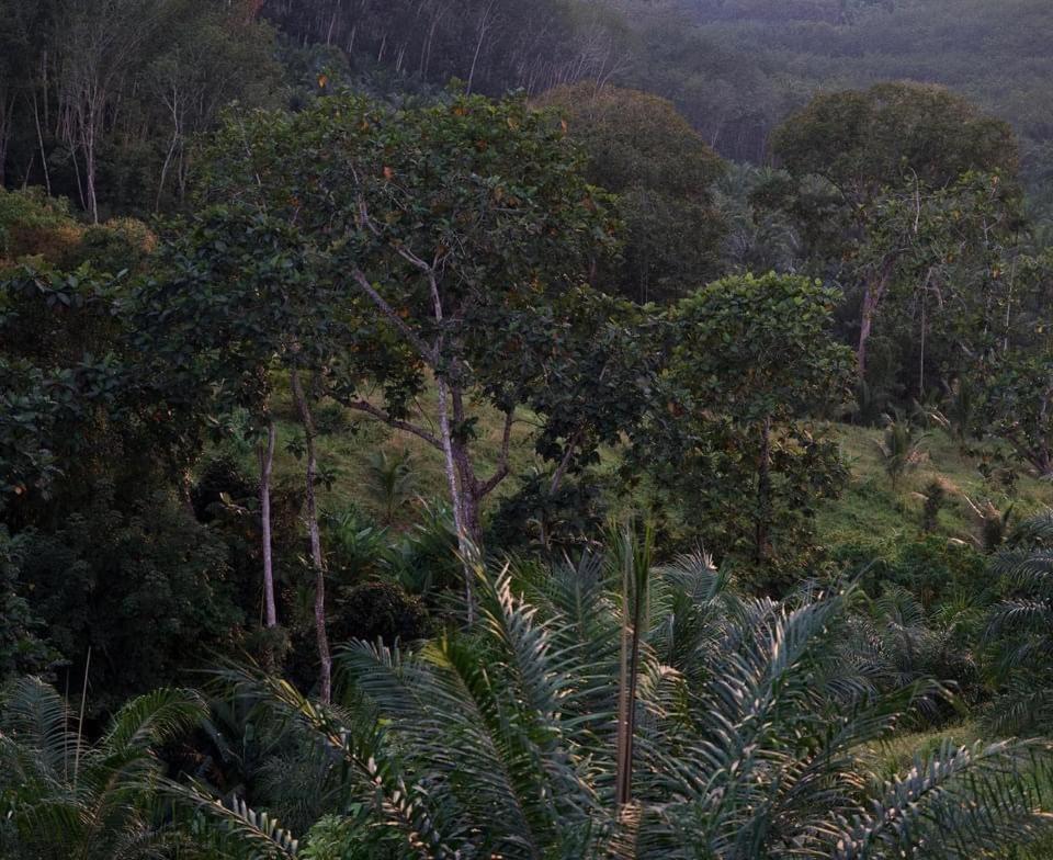 Por Sampao Camp&Resort Ban Pha Saeng Lang Kültér fotó